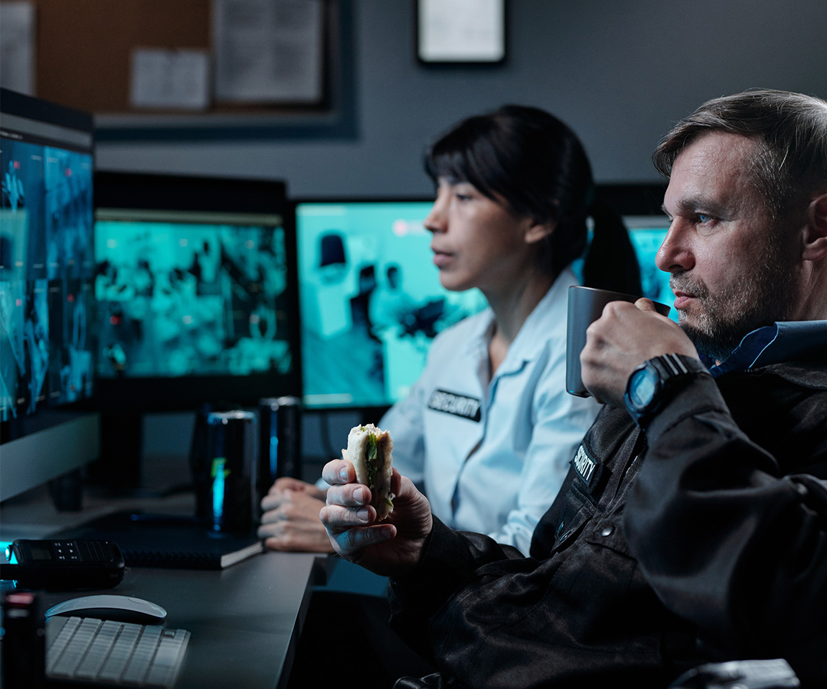 CCTV Surveillance Guards