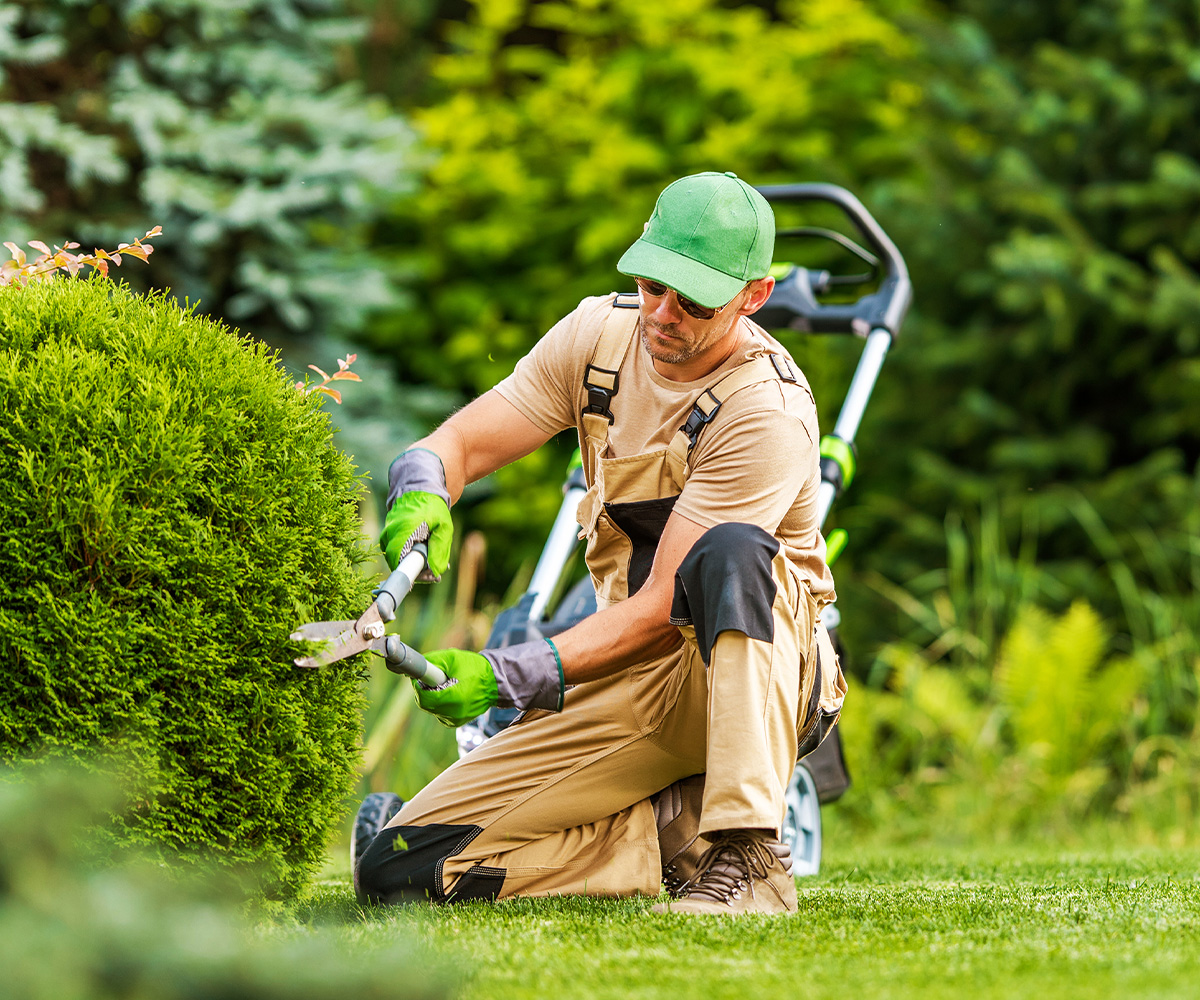Landscaping Services