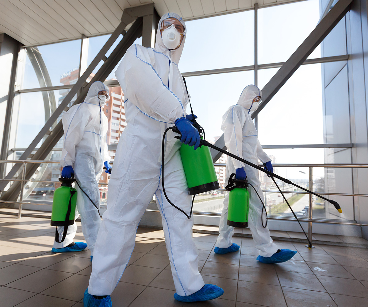 Pest Control Solutions